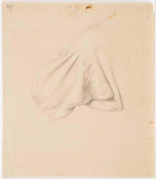 Garment Study