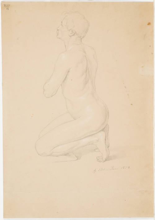 Figure Study