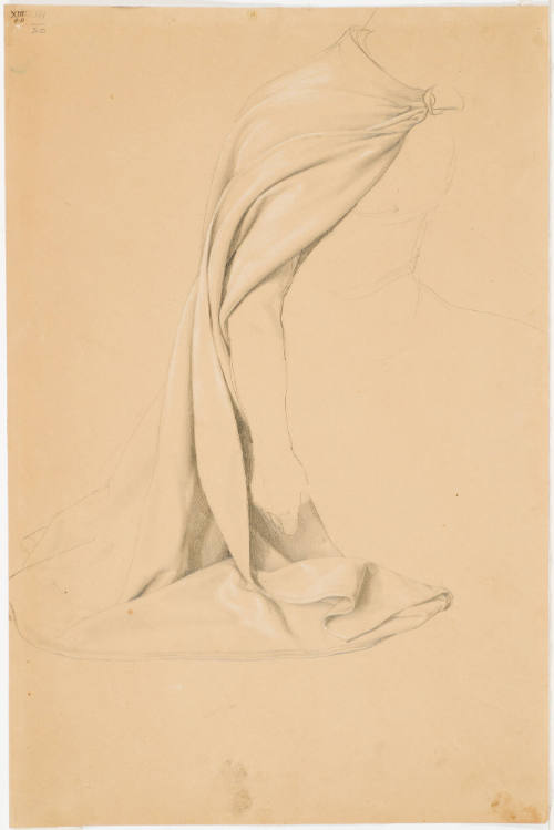 Garment Study