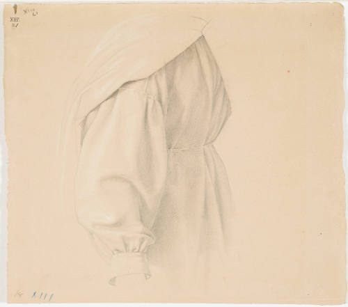 Garment Study