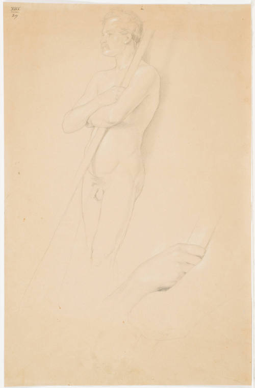 Standing Male Nude