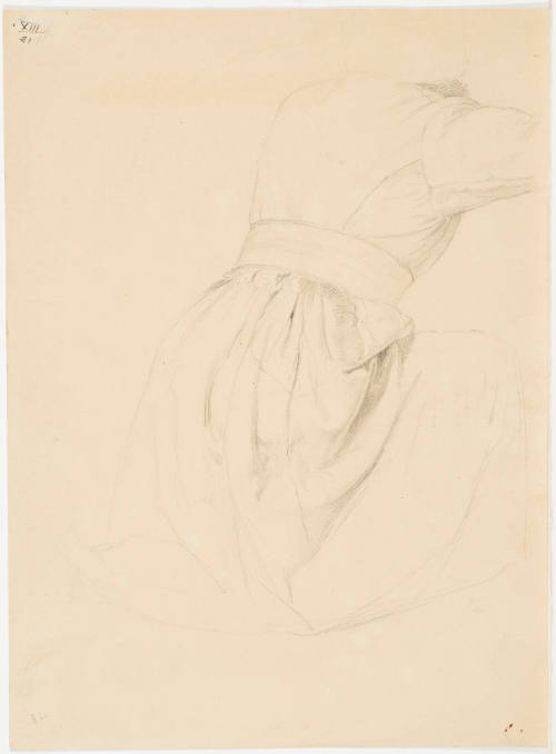 Garment Study