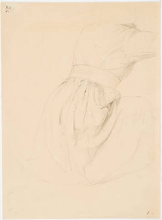 Garment Study