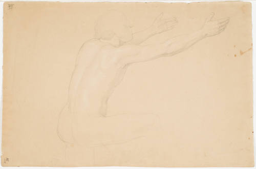 Male Nude