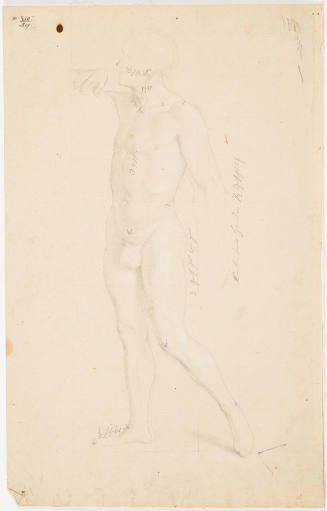 Male Nude (Anatomical Study)