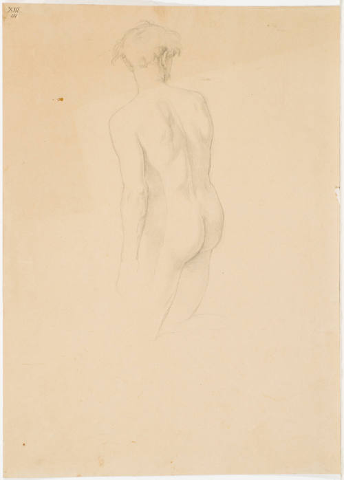 Male Nude