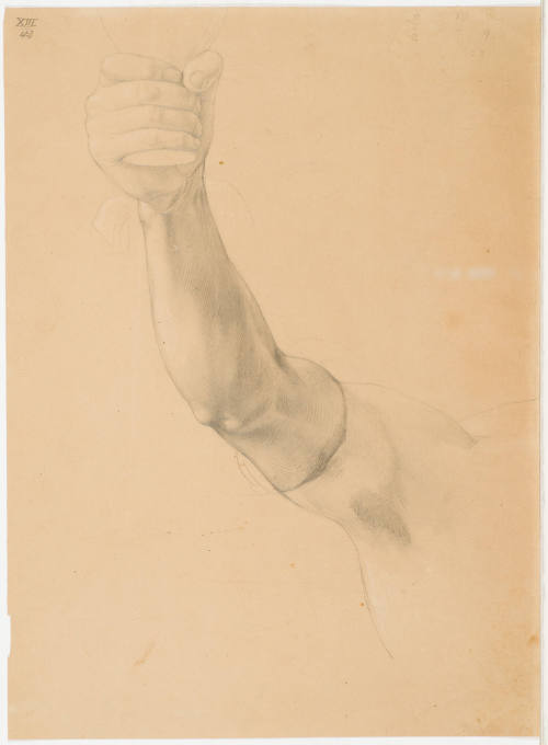 Study of Arm Raising Beaker