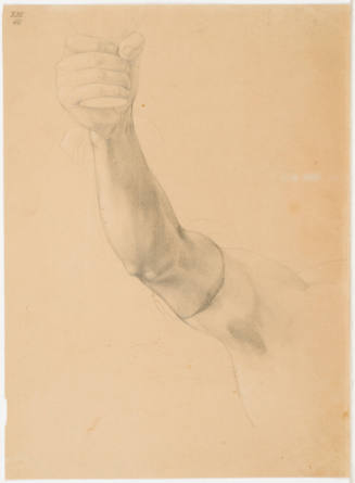 Study of Arm Raising Beaker