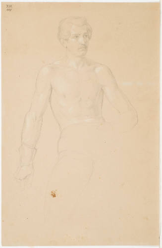 Male Nude (Upper Half)