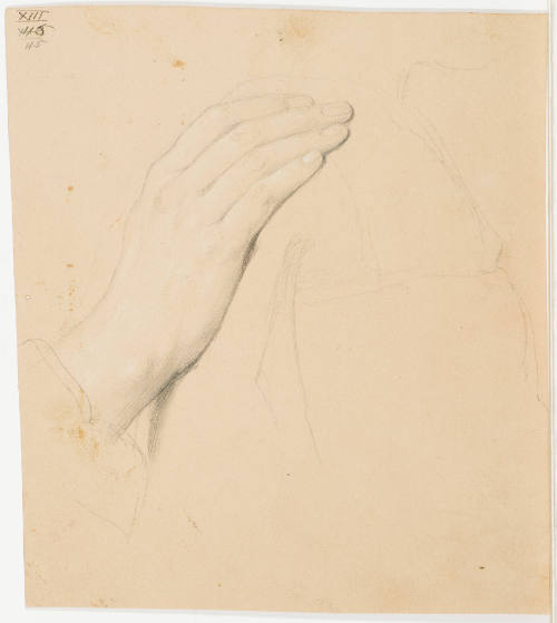 Study of Hand