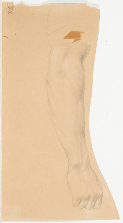 Study of Arm (Hanging Down)