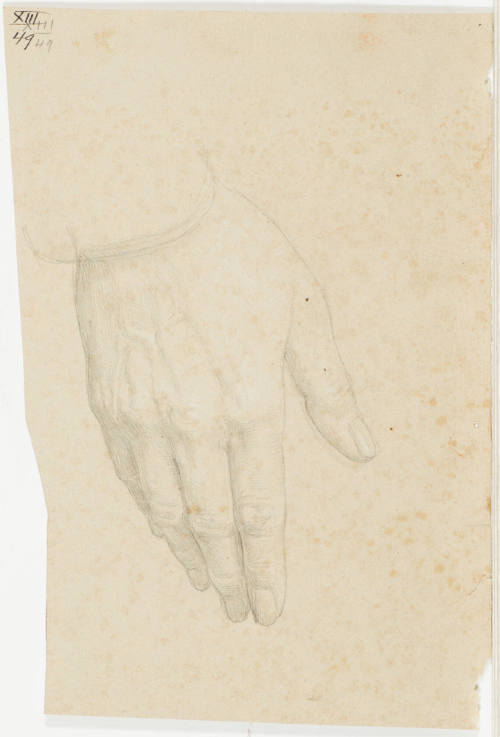Study of a Hand