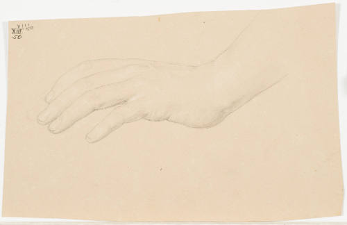 Study of Hand