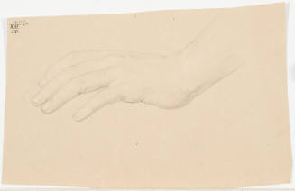 Study of Hand
