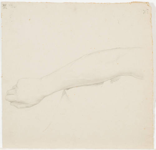 Study of an Arm