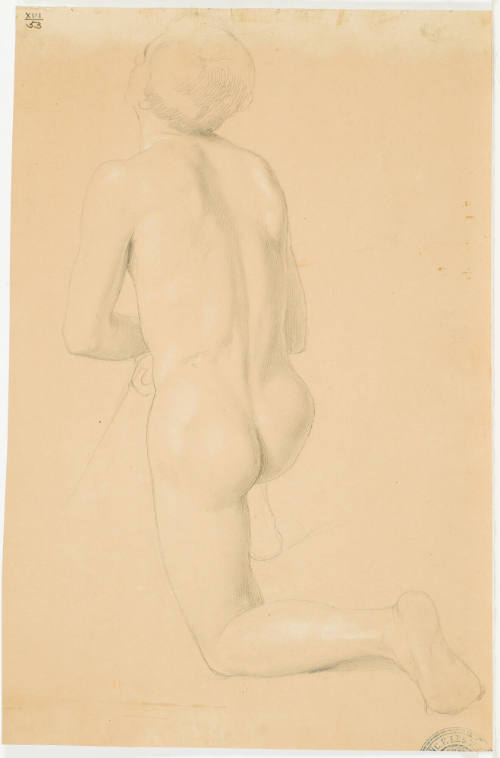 Kneeling Male Nude