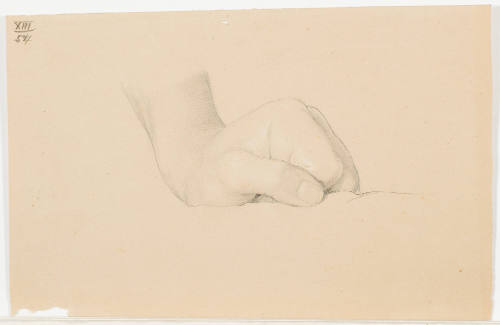 Study of Clenched Fist
