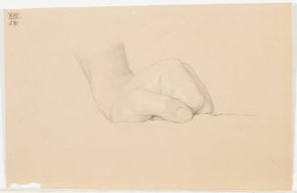 Study of Clenched Fist