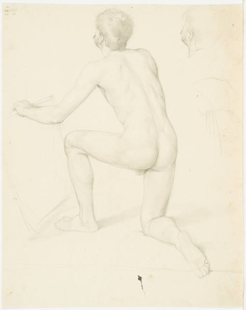 Male Nude (Back View)