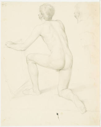 Male Nude (Back View)