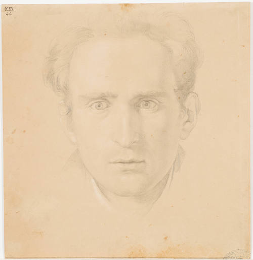 Portrait of a Young Man