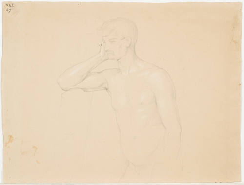 Male Nude (Torso and Head)