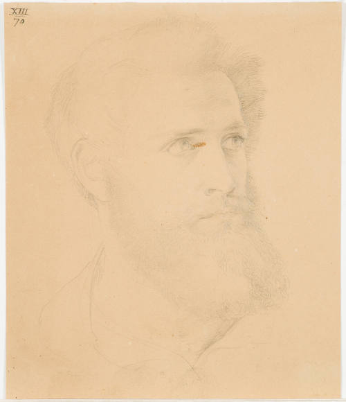 Portrait of a Bearded Man