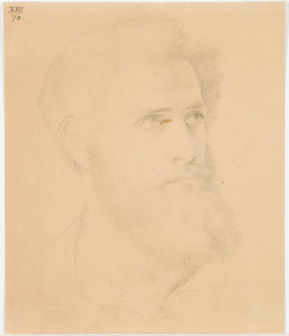 Portrait of a Bearded Man