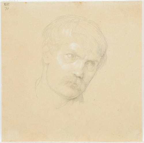 Portrait of a Young Man