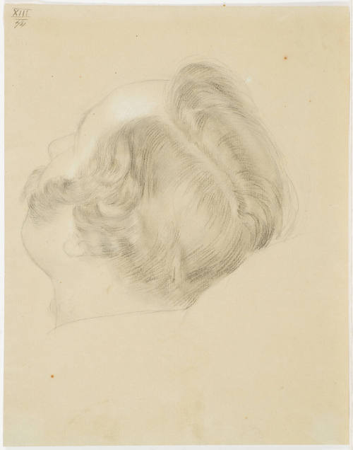 Head of a Man