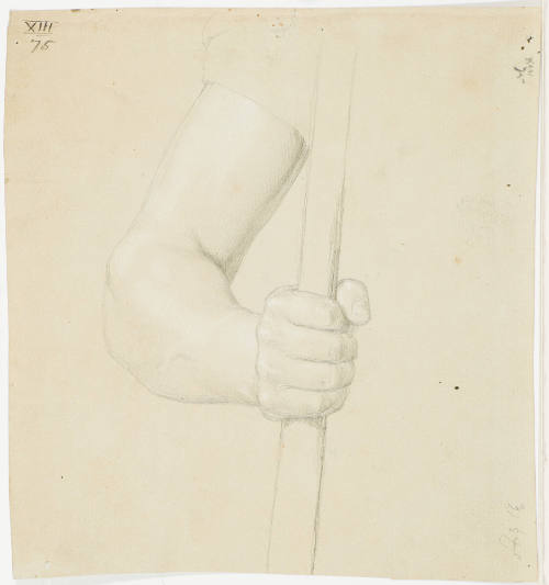 Study of an Arm