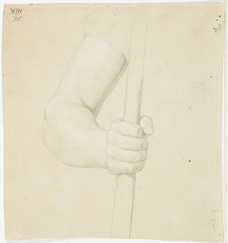 Study of an Arm