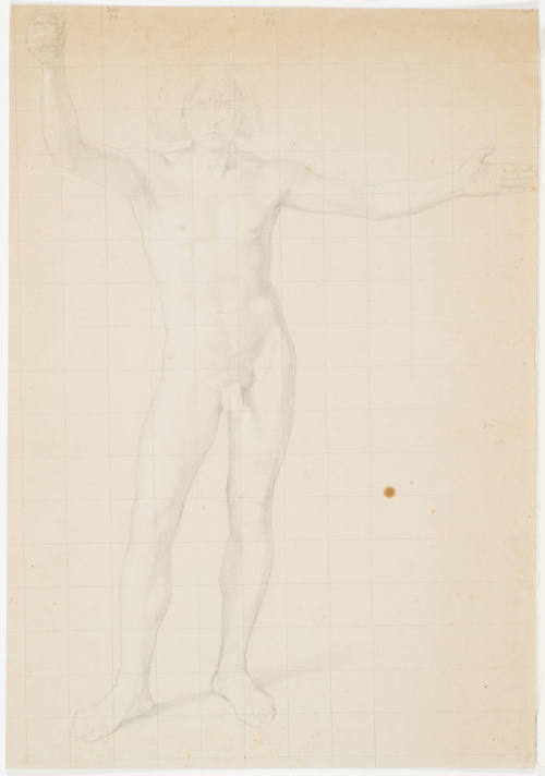 Male Nude