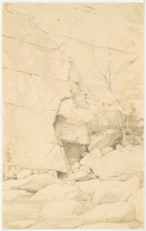 Foest Interior with Cliff and Brook