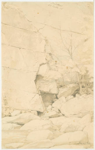 Foest Interior with Cliff and Brook