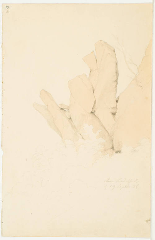 Study of Rocks and Bushes
