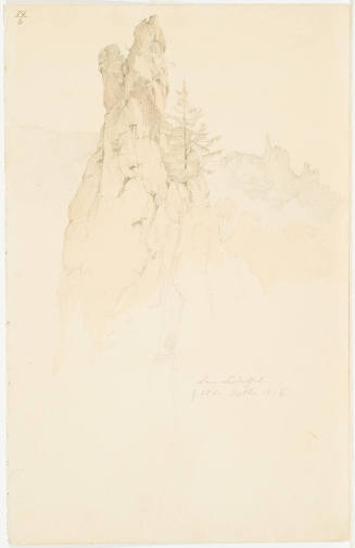 Rock Formation and Fir Tree