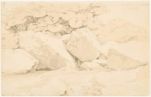 Detail Study of Rocks and a Brook