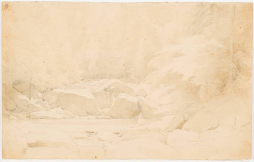 Forest Brook and Rocks