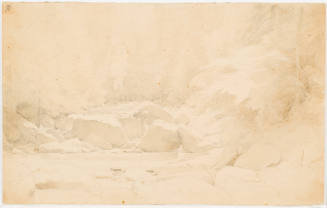 Forest Brook and Rocks