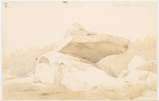 Large Rock - Regenstein