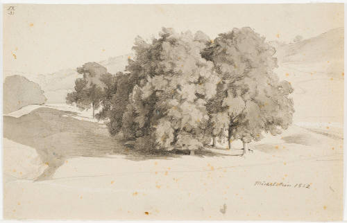 A Group of Trees