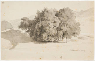 A Group of Trees