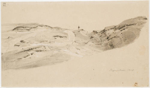 Hilly Path - Regenstein