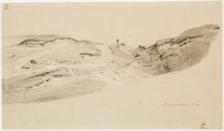 Hilly Path - Regenstein