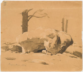 Boulder - Regenstein