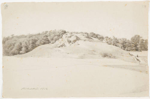 A Rocky Hill and Forest - Michelstein