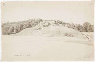 A Rocky Hill and Forest - Michelstein