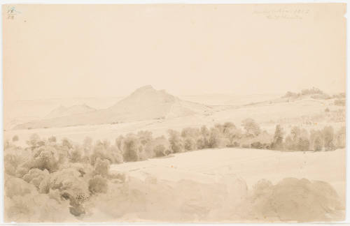 Hills and Fields - Michelstein