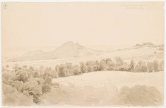 Hills and Fields - Michelstein
